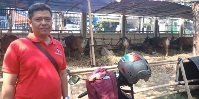 
 Begini Alasan Koespriantoro Pindah Langganan Hewan Kurban