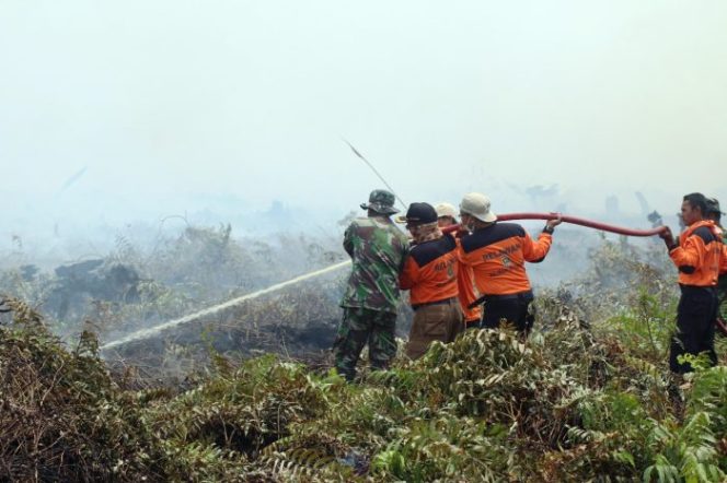 
 Rumah Oksigen, Solusi Untuk Korban Asap di Riau dan Kalimantan