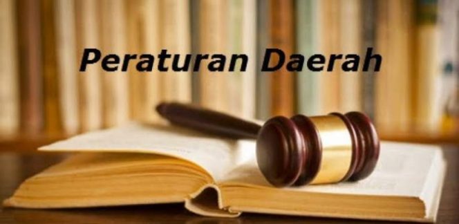
 Optimalkan Potensi Pendapatan Daerah, DPRD Usulkan Bentuk BUMD Parkir