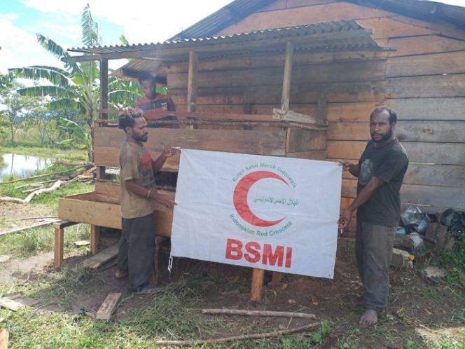 
 Mudahkan Kurban, BSMI Jayawijaya Bantu Warga Papua Jadi Peternak
