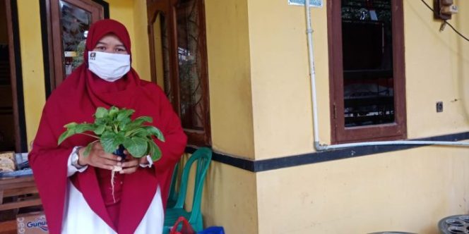 
 BPKK PKS Bekasi Utara: Ketahanan Keluarga Bermula dari Merdeka Pangan
