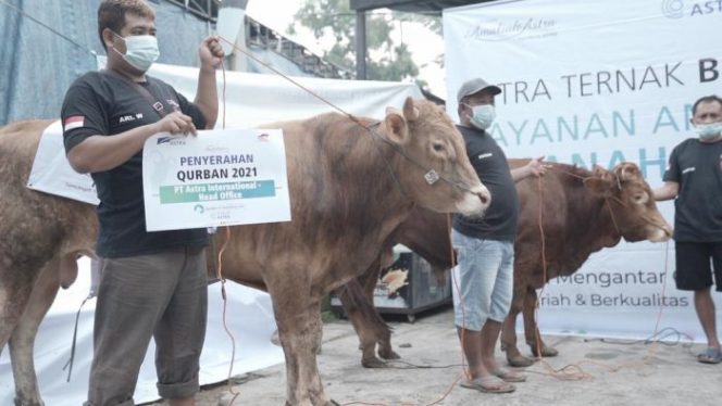 
 Grup Astra Distribusikan Hewan Kurban ke 34 Provinsi Sebanyak 2.379 ekor