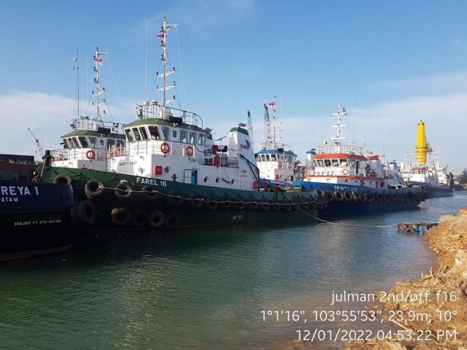 
 Harga Batubara Terus Naik, Jasa Pengangkutan Batu Bara Harus memetakan Peluang dan Tantangannya