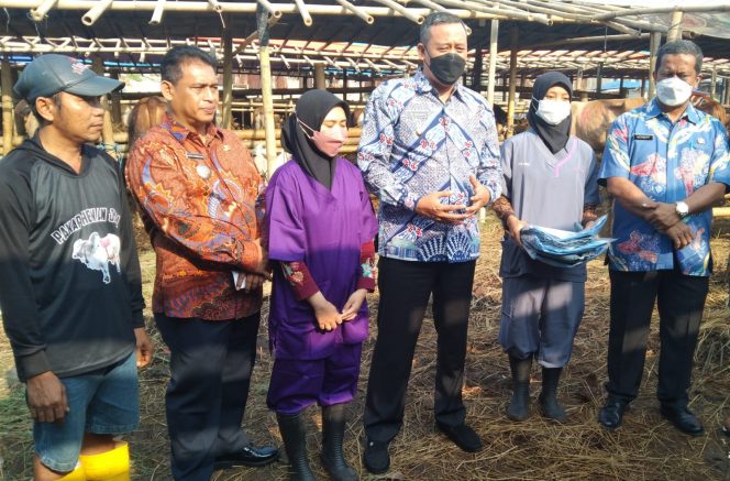 
 Plt. Wali Kota Bekasi Pastikan Adanya Sertifikat Sehat Hewan Qurban