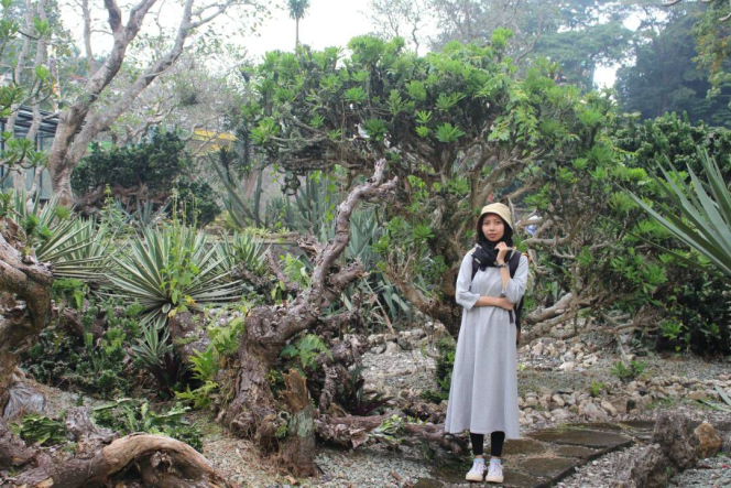 
 Via : Program JKN Selamatkan Warga Negara Indonesia