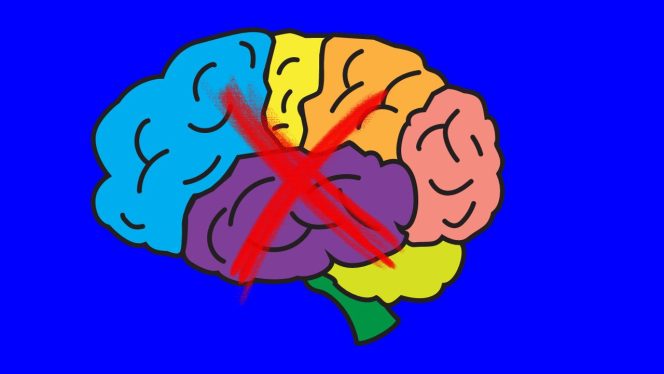 
 Mati Batang Otak Bekasi: Penyebab, Tanda-Tanda, dan Kasus Terbaru